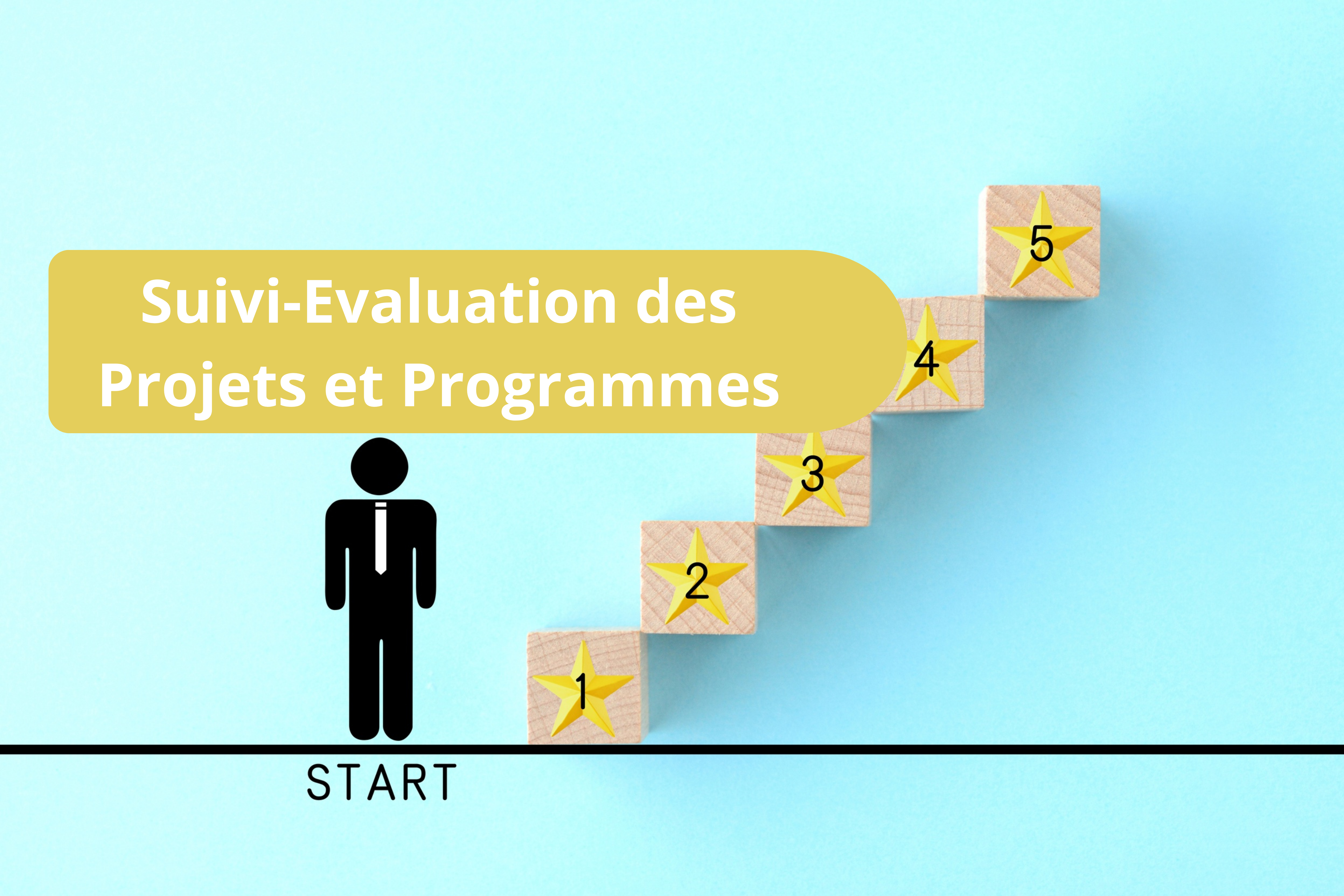 Suivi-Évaluation (S&E) des Projets et Programmes de Développement