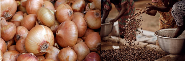 Analyse situationnelle de base sur les filières agricoles porteuses