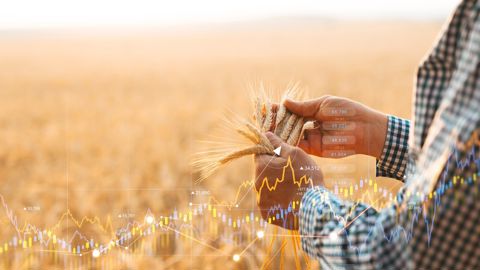 Écosystème pour la production et l'utilisation de données pertinentes dans politique agricole en côte d'ivoire